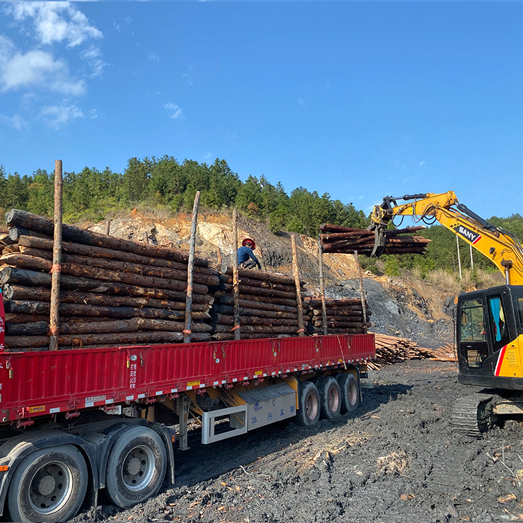 防洪防汛用的松木樁/杉木樁哪里有賣?