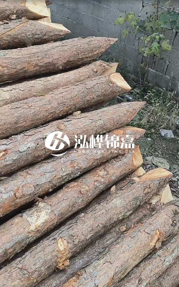 松木樁哪里能大量供應？4米20公分松木樁價格是多少？