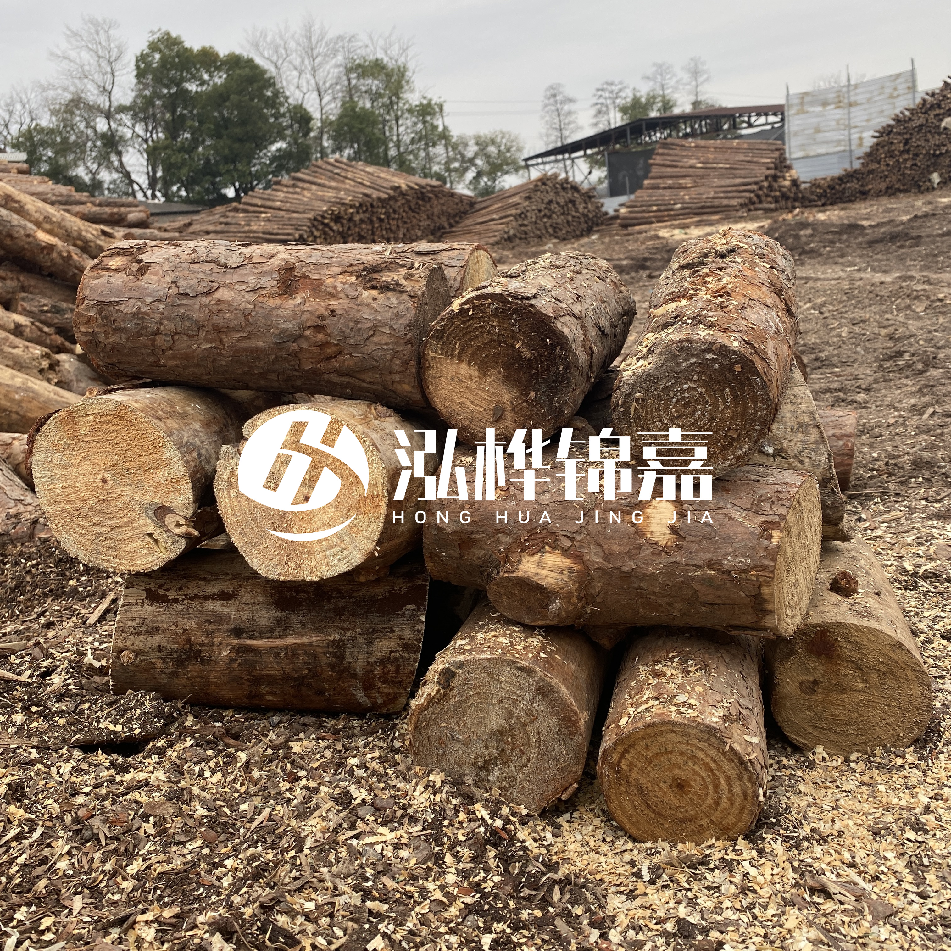 打樁木邊角料能做什么用途？怎么賣的？