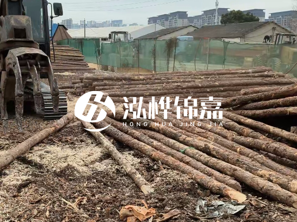 2 米長度松木樁多少錢？松木樁 10 一 15 公分價格？