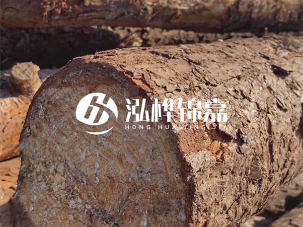 松木樁如何做到千年不腐的？松木樁打地基耐用年限揭秘