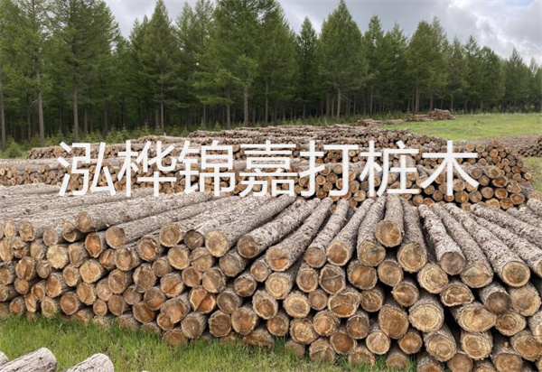 松木樁能施工嗎？探究視頻揭秘真相！