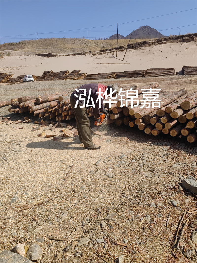 松木樁駁岸施工，打造水上風景線