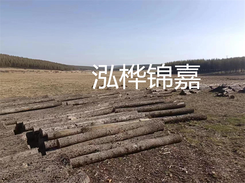 松木樁施工方案,為您提供高品質的建筑基礎解決方案