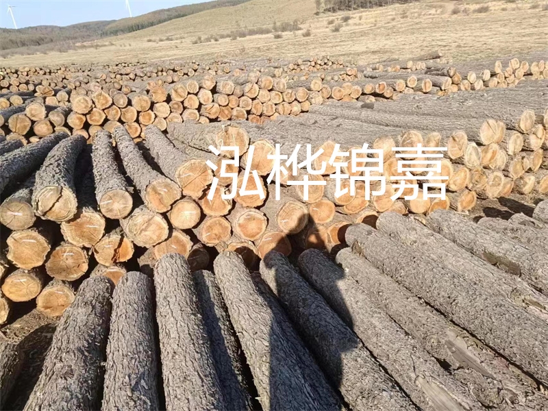 松木樁在哪里買?這里是最佳選擇!